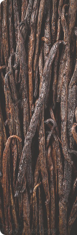 Cacao e Vaniglia