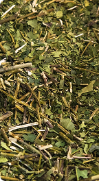 4 fonti di caffeina naturale