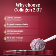 Collagen 2.0 - Starter Pack
