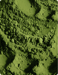 Matcha giapponese premium