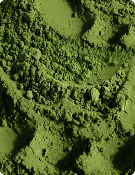 Polvere di Matcha Biologica