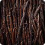 Cacao e Vaniglia