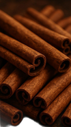 Cacao e Cannella