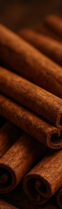 Cacao e Cannella