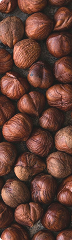 Nocciola
