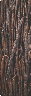 Cacao e Vaniglia
